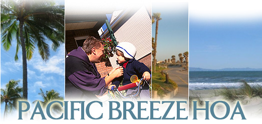 Pacific Breeze 